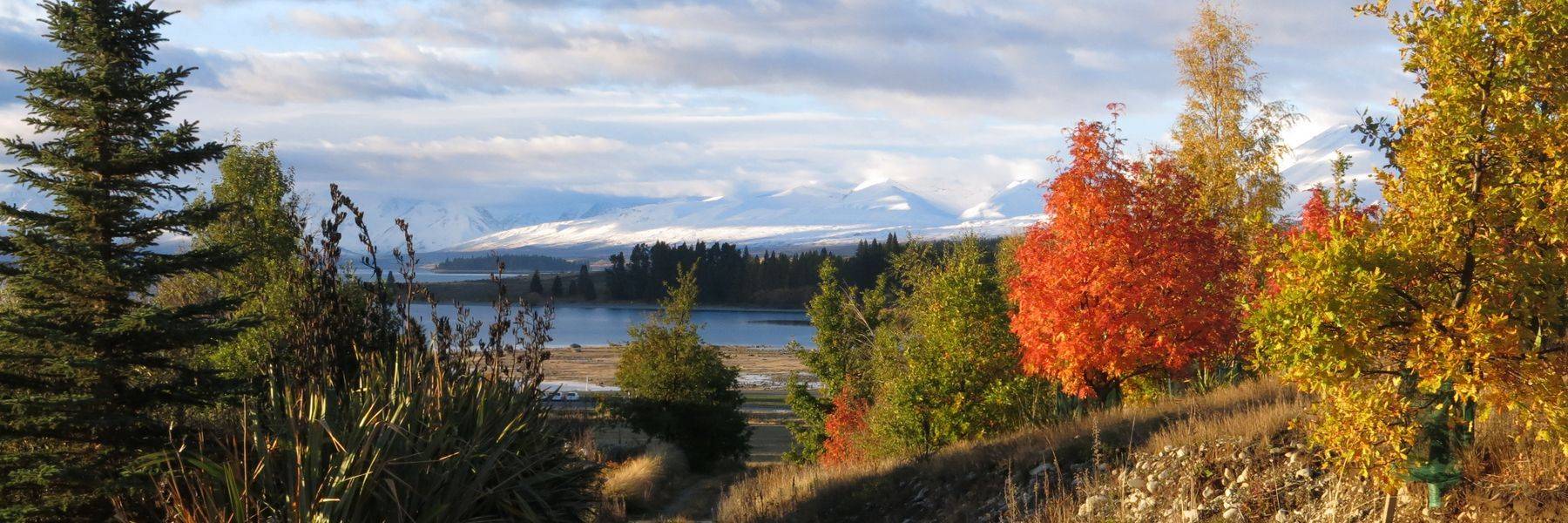 Autumn Colours Lake Tekapo