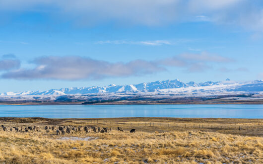 Lake Tekapo © Hollie Woodhouse