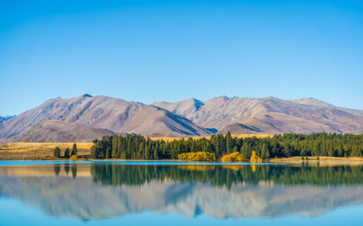 Tekapo Regional Park © Hollie Woodhouse